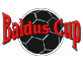 Foreldremøte Baldus-Cup 2015
